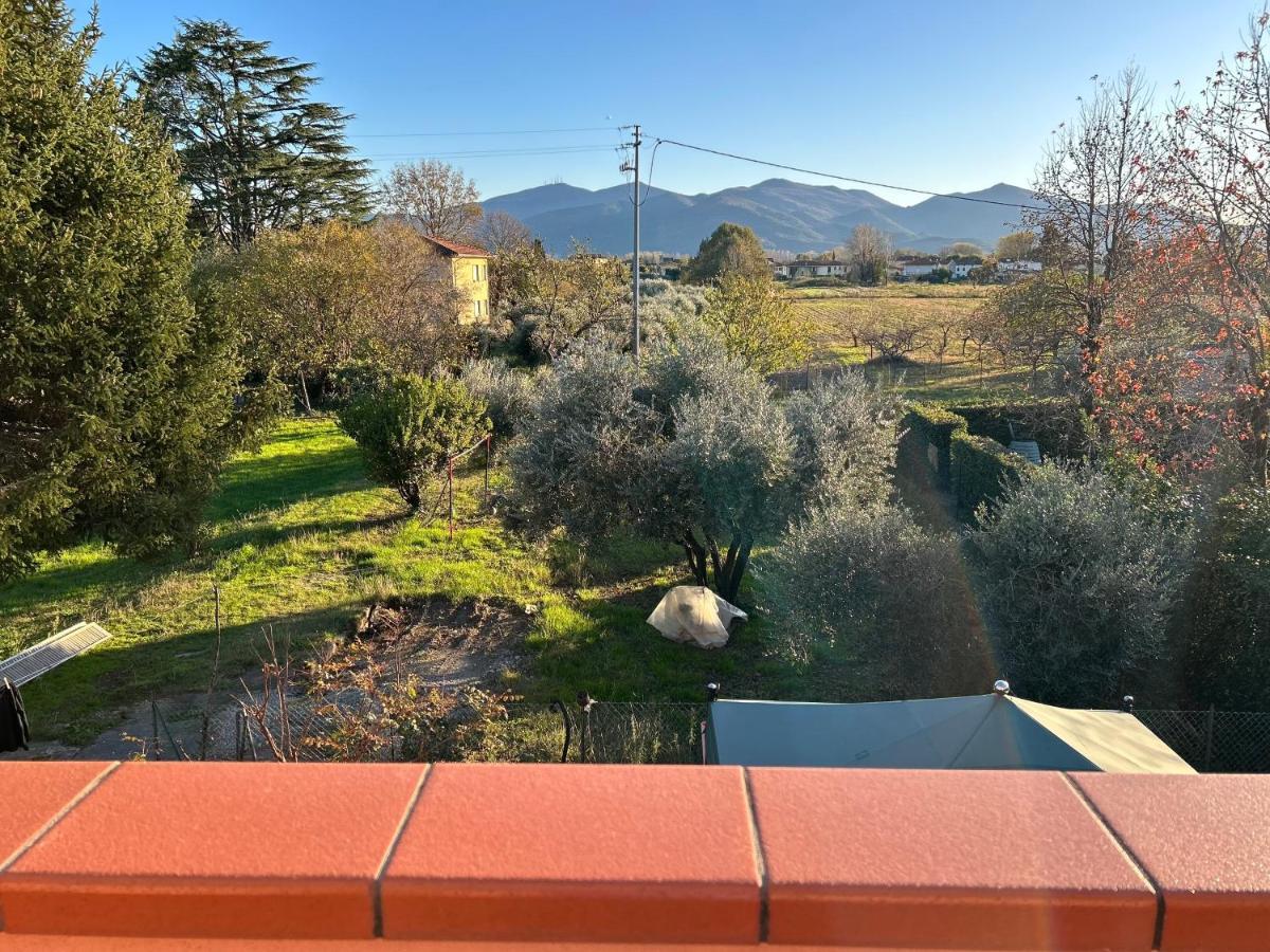 Albi'S House,Terrazza ,Wi-Fi, Parcheggio, Ac Lucca Exterior foto